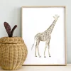 Girafa